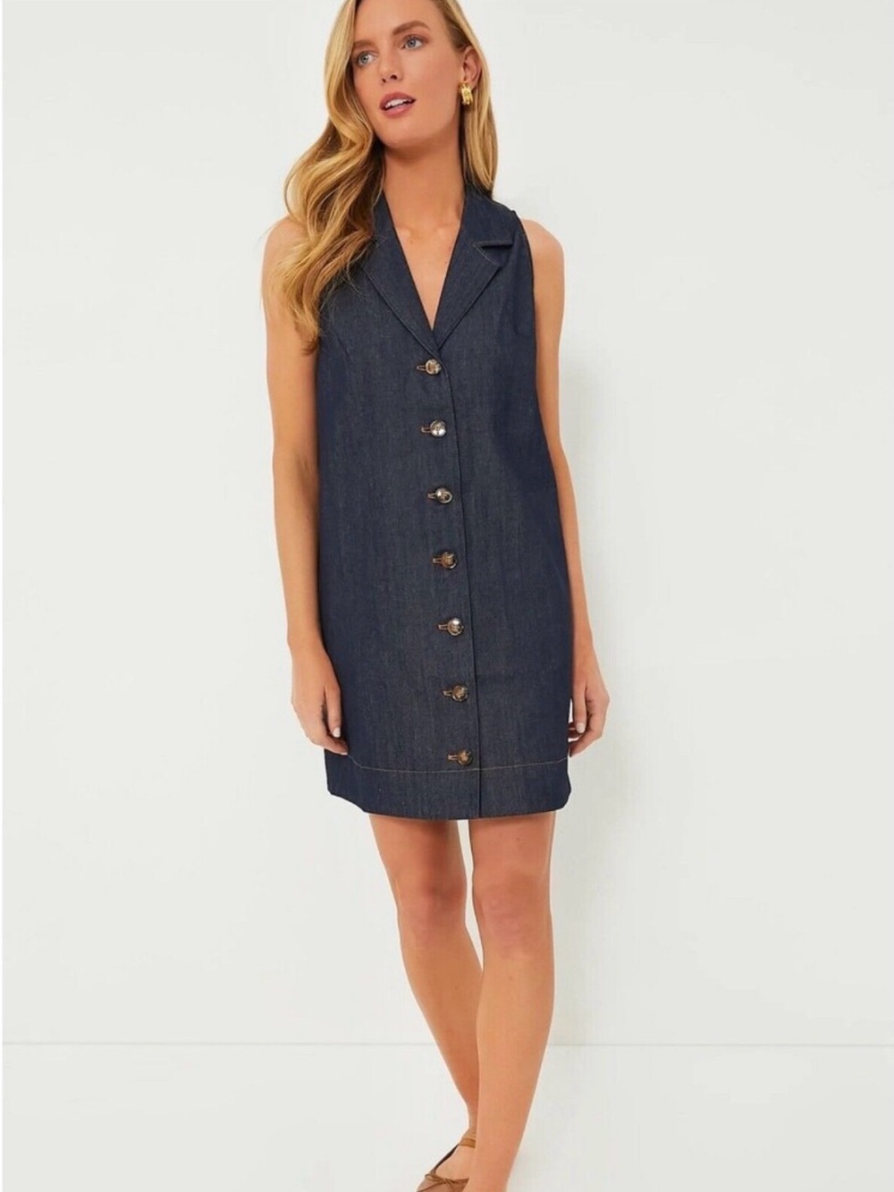 Pomander Place Micah Denim Button Front Mini Dress Small Tuckernuck